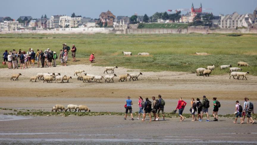 Les Arts - Cocon Romantique En Baie De Somme Boismont  エクステリア 写真